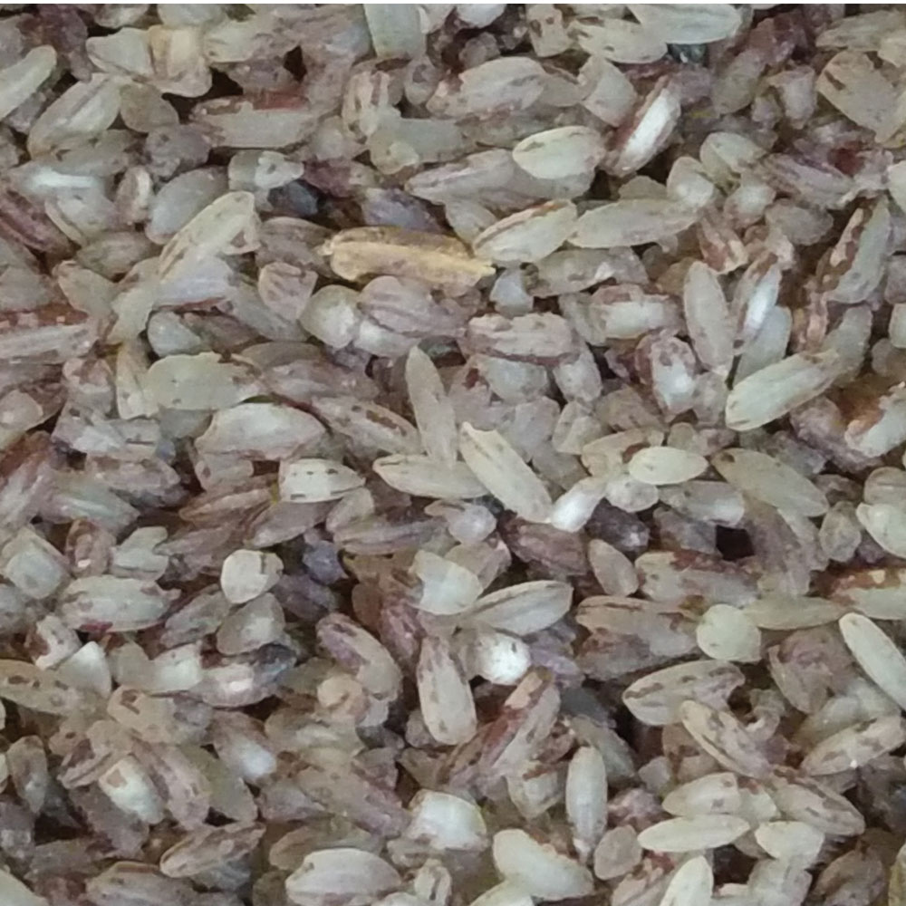 Ammae Millet pongal
